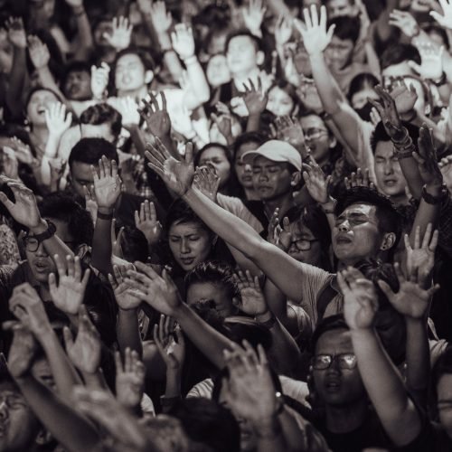 51280345_1970884386553717_5324471197369368576_o